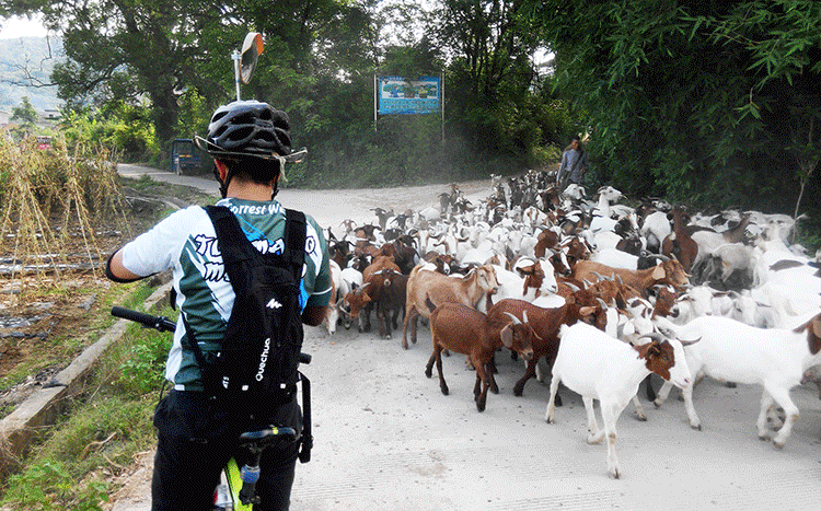 4 Day Self-Guided Guilin & Yangshuo by Bike